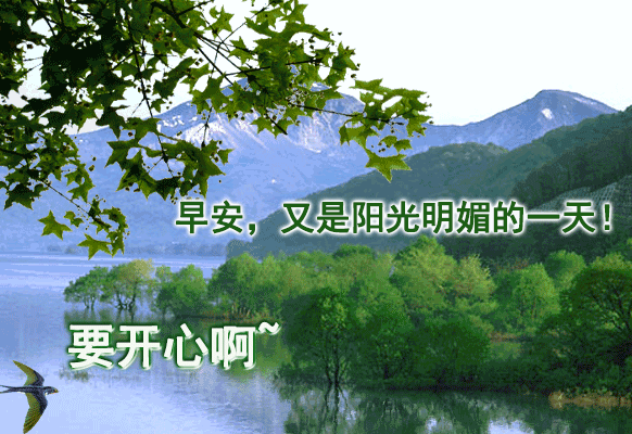 早上好的问候美句简短（特别暖心的早安句子）