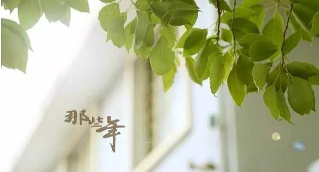 为中考加油的暖心句子简短（激励初三学生拼搏的话）