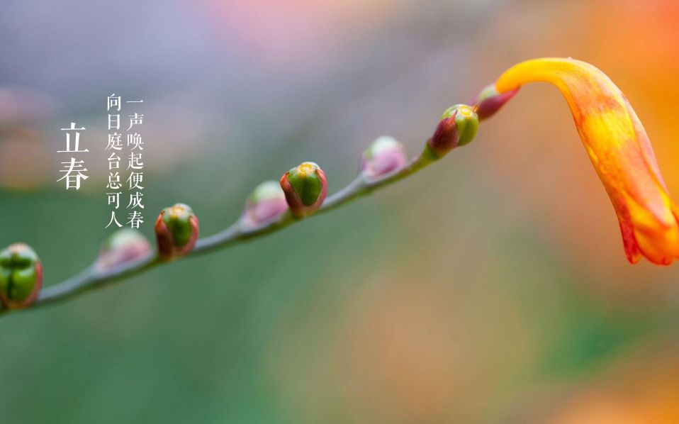 立春的诗有哪些（立春的古诗词名句鉴赏）