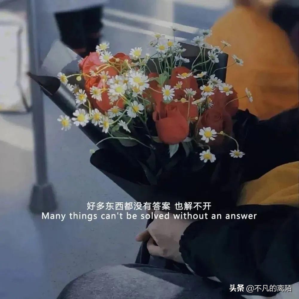 给别人评论说说的经典话语（最吸引人必评论的说说）