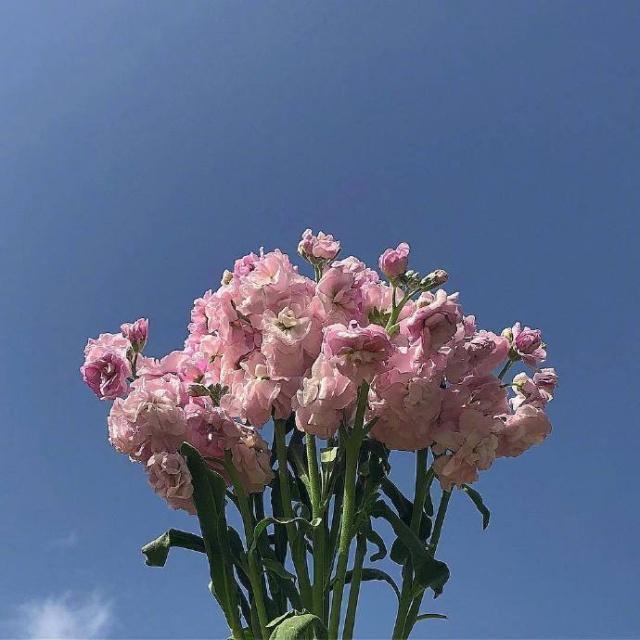 人生哲理的句子经典（人生哲理句子精辟）
