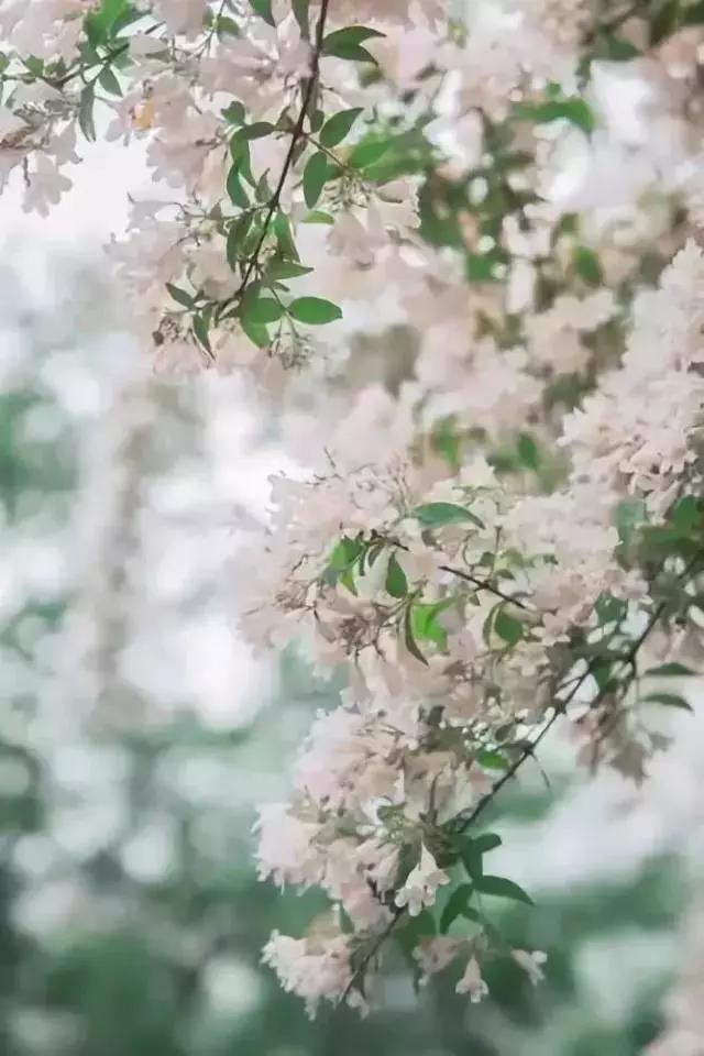 行旅诗有哪些古诗（关于旅行的古诗词）