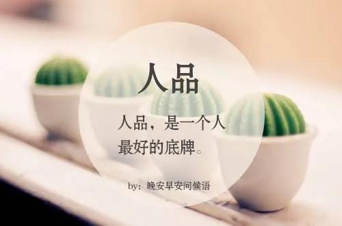 人心换人心的经典语录（交人交心的经典句子）