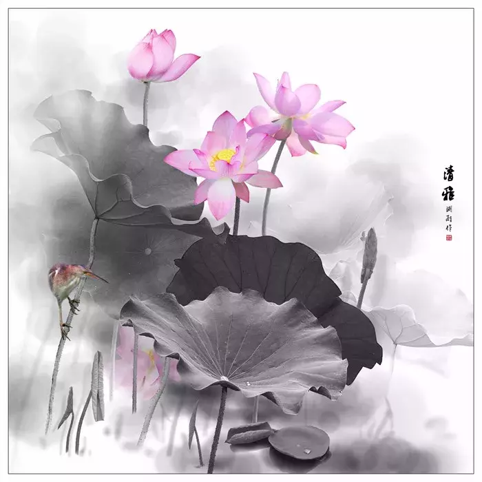 关于莲的诗句有哪些（莲花最有禅意的句子）