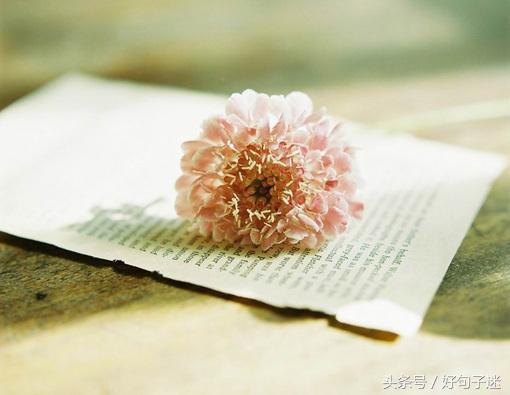 席慕容经典语录（席慕容经典诗歌分享）