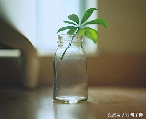 席慕容经典语录（席慕容经典诗歌分享）