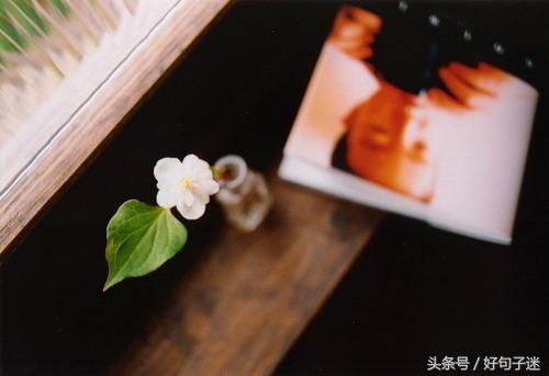 席慕容经典语录（席慕容经典诗歌分享）
