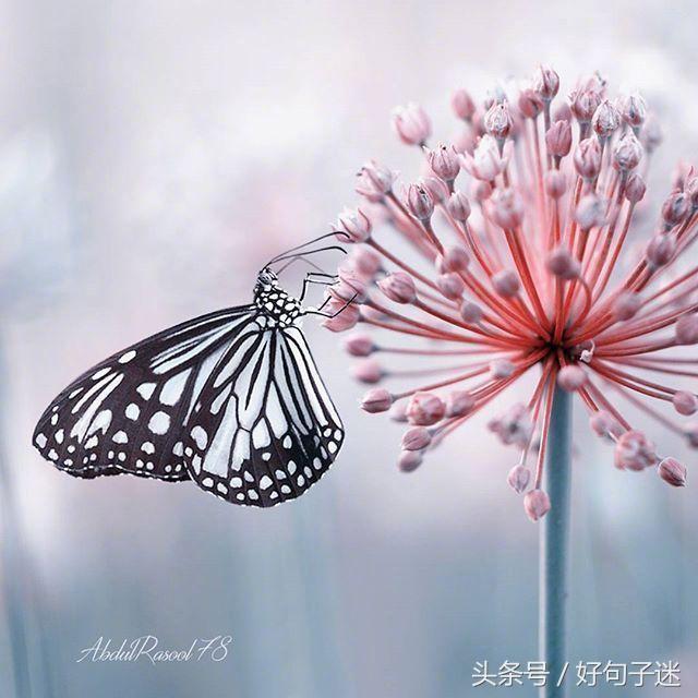 qq个性标签写什么好自定义（适合写在qq上的个性签名）