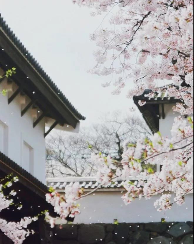 行旅诗有哪些古诗（关于旅行的古诗词）