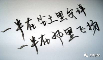 站成一棵树作文范文（我愿站成一棵树诗词）