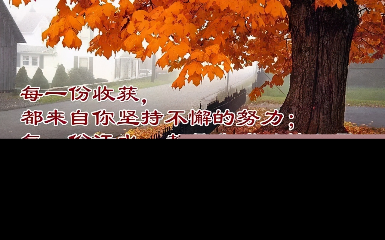 给自己一句鼓励的话该怎么写（致自己励志的简短语句）
