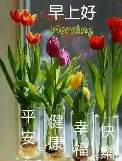 早上好短信问候大全（一句早上好暖心的话）
