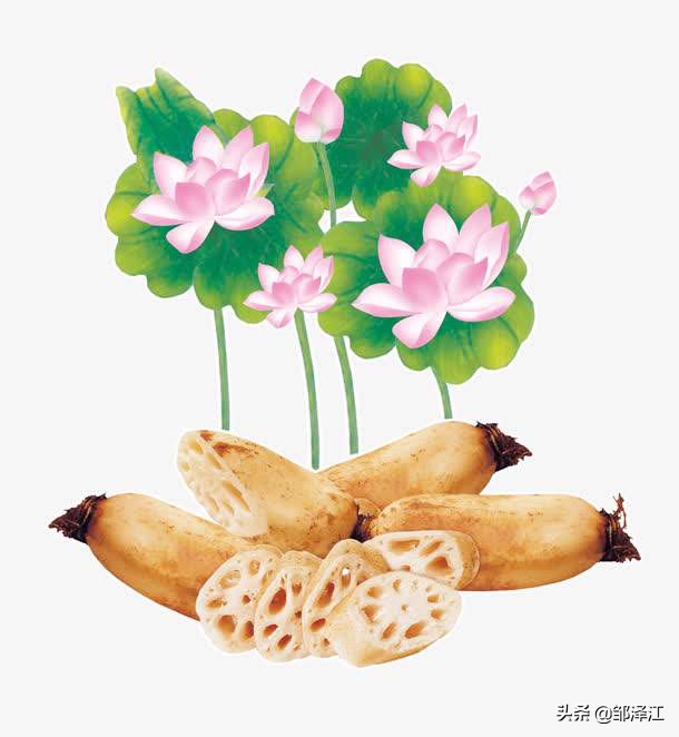关于莲的成语有哪些（莲花最有禅意的句子鉴赏）