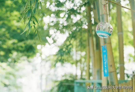 英语好词好句带翻译（英语优美句子摘抄）