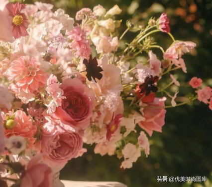 关于读书的文案唯美（鼓励孩子读书的文案）