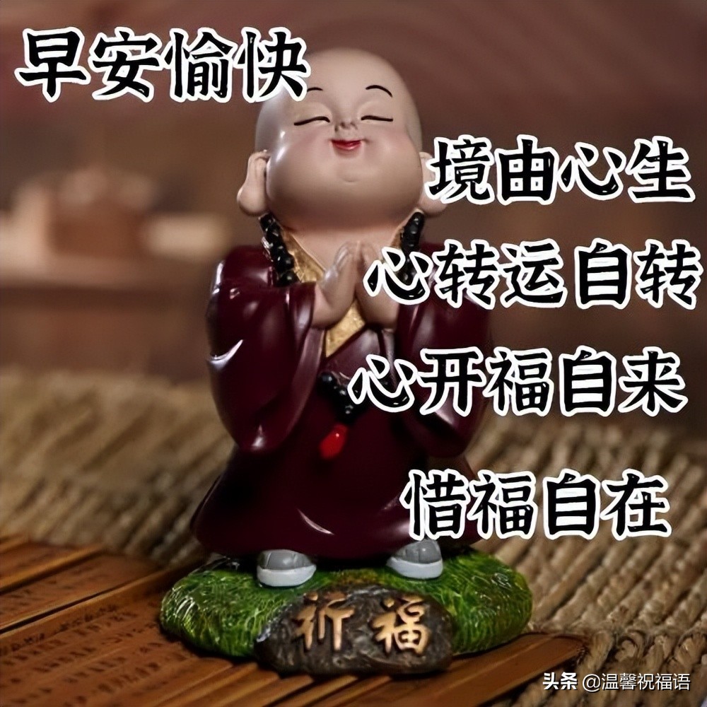 早安的问候语正能量（每日一句早安心语）