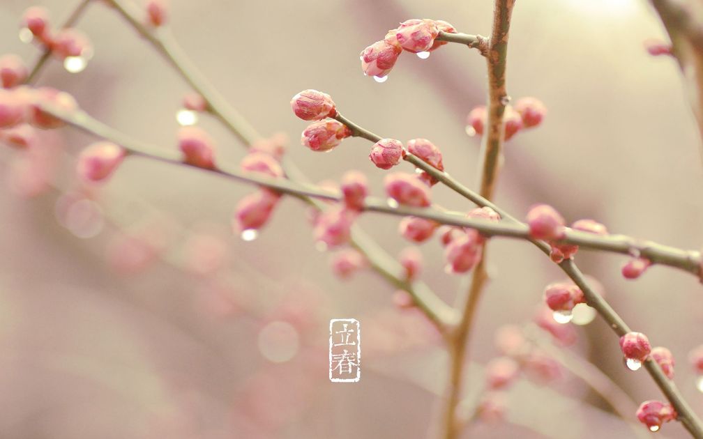 立春的诗有哪些（立春的古诗词名句鉴赏）