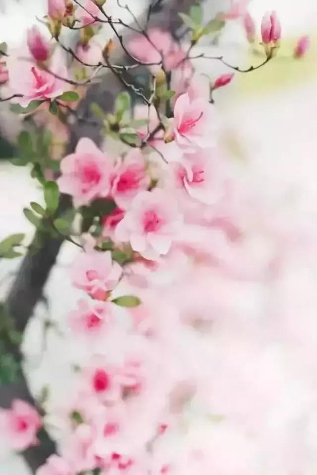 行旅诗有哪些古诗（关于旅行的古诗词）