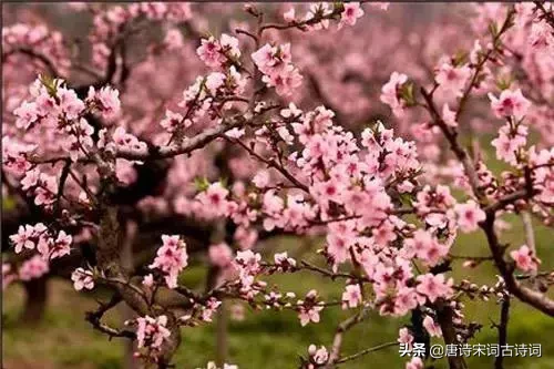杜牧的诗句有哪些（杜牧写的诗句分享）