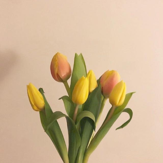 给母亲的祝福语简短（感恩妈妈暖心短句）