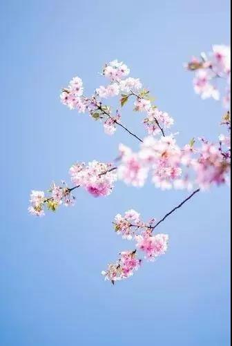 关于旅行的诗句有哪些（关于旅行最好的诗句）