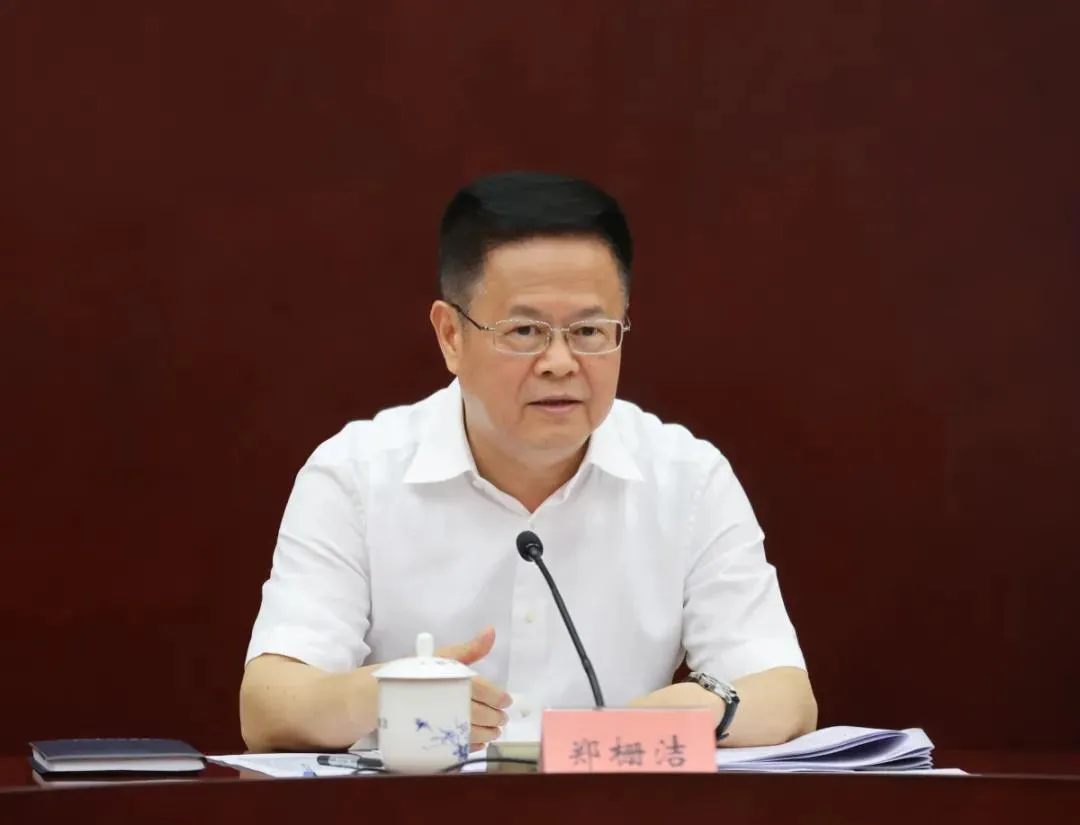 郑栅洁任安徽省委书记（郑栅洁任职简历）