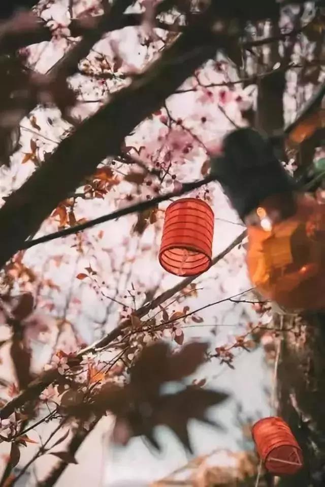 行旅诗有哪些古诗（关于旅行的古诗词）