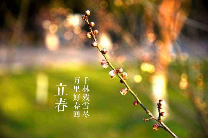 立春的诗有哪些（立春的古诗词名句鉴赏）