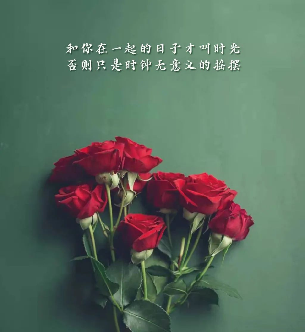 情人节祝福语最温馨的话简短（特别含蓄又有深意的情话）