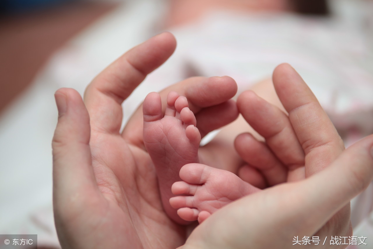 孟郊游子吟赏析（孟郊的游子吟全诗）