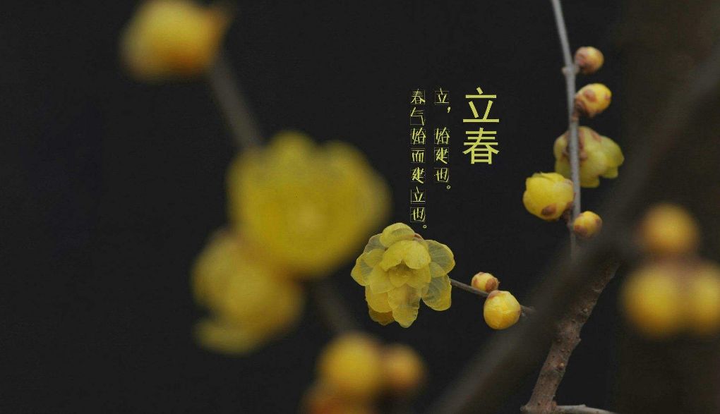 立春的诗有哪些（立春的古诗词名句鉴赏）