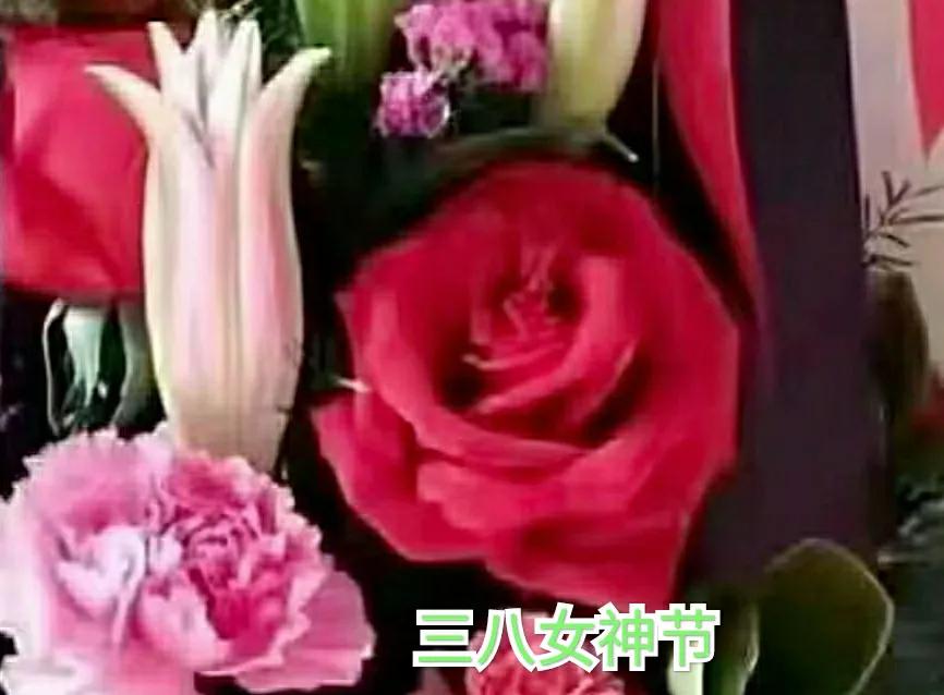 关于三八妇女节的诗（祝妇女节优美的短句子）