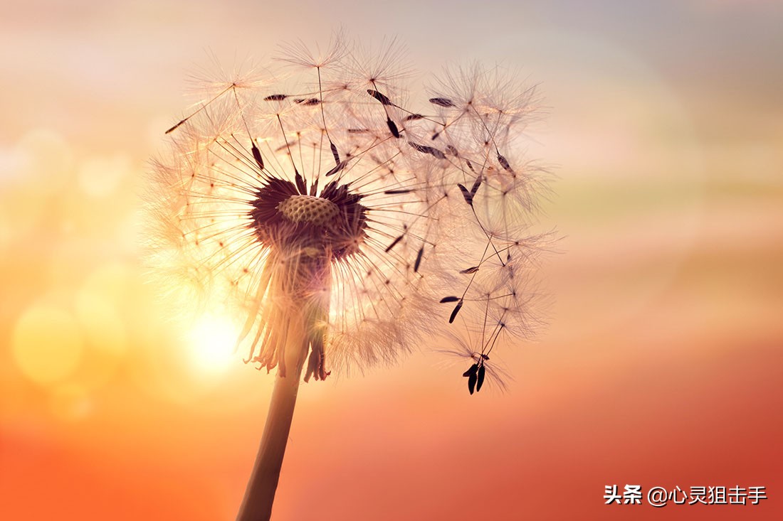 恋爱句子大全唯美古风（古风爱情句子唯美）