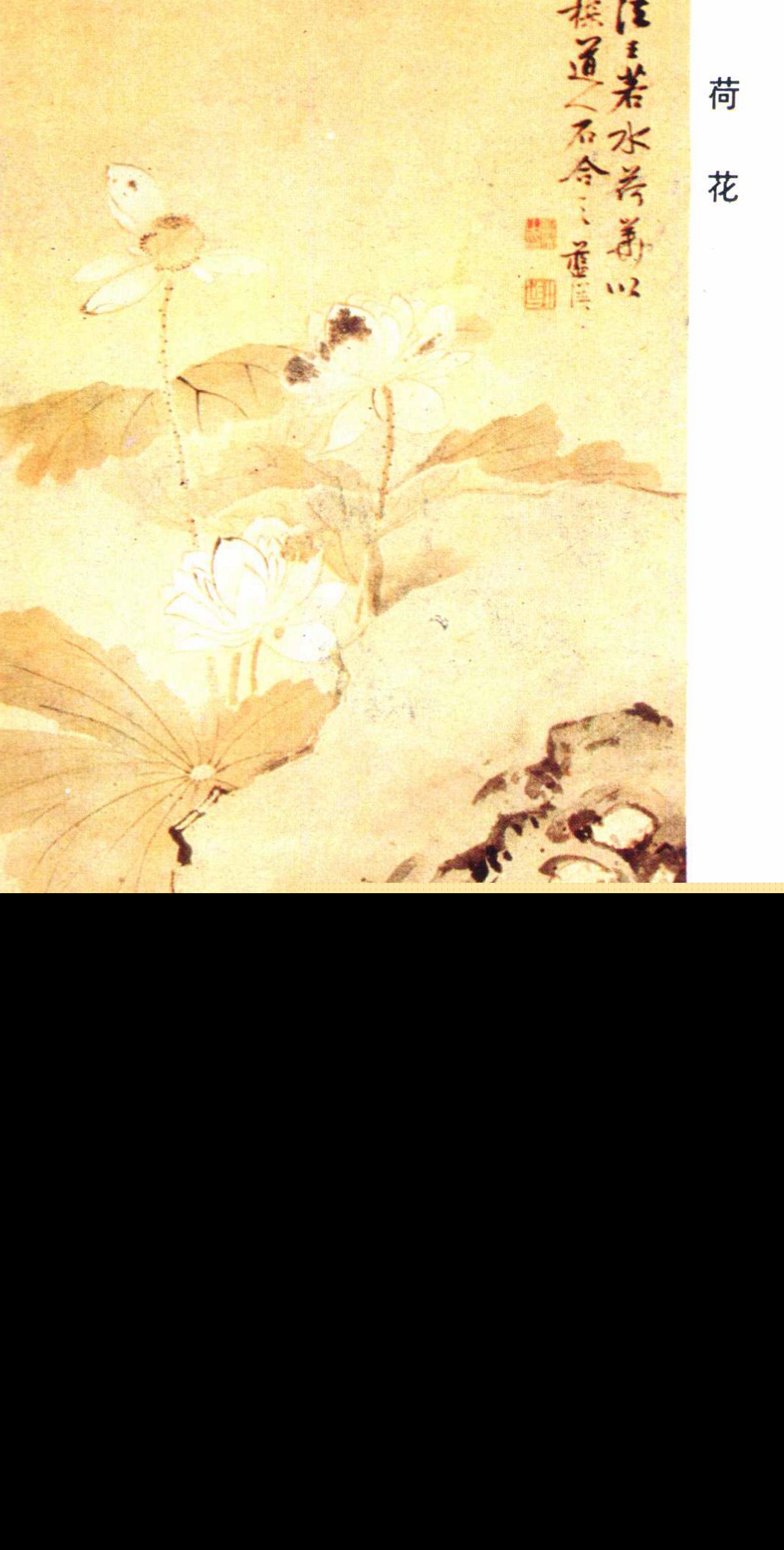 关于莲的成语有哪些（莲花最有禅意的句子鉴赏）