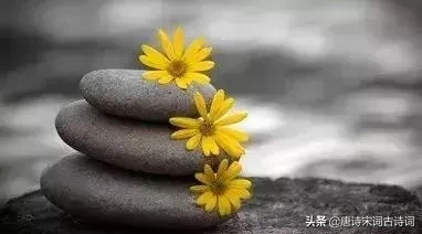 杜牧的诗句有哪些（杜牧写的诗句分享）