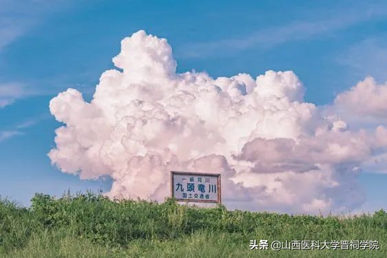 英语好词好句带翻译（英语优美句子摘抄）