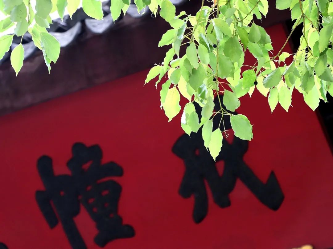 心境平和的诗句（形容心境通透的诗词）