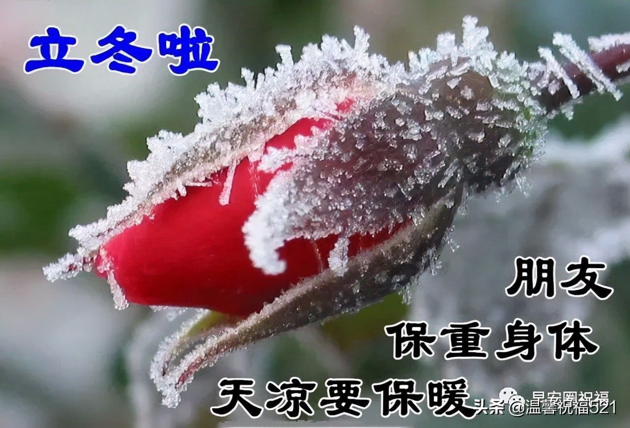 立冬祝福有些什么（秋日暖阳的优美短句）