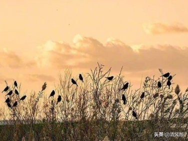 风景美的句子心情短语（一句简短的风景朋友圈）