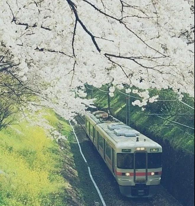 行旅诗有哪些古诗（关于旅行的古诗词）