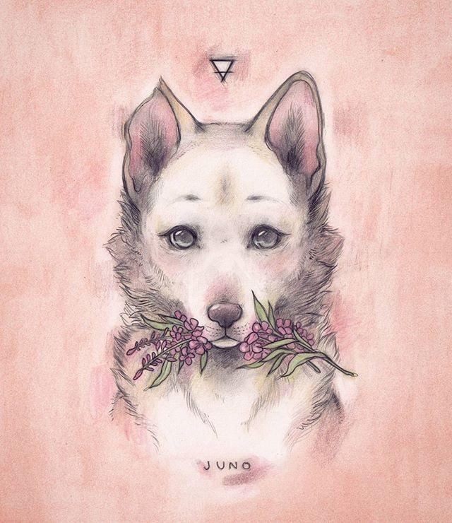 晚安爆笑句子短句（最幽默的晚安一句话）