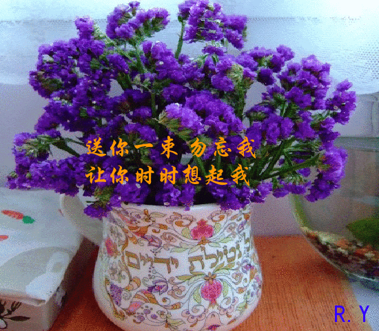女人的幸福其实很简单的说说（越简单越幸福经典语录分享）