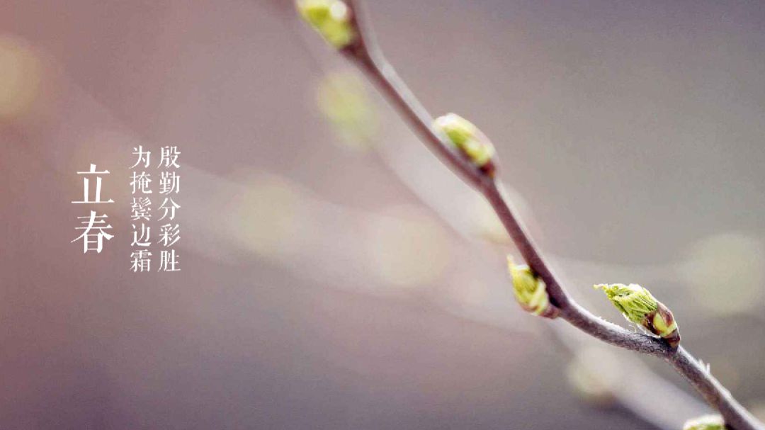 立春的诗有哪些（立春的古诗词名句鉴赏）