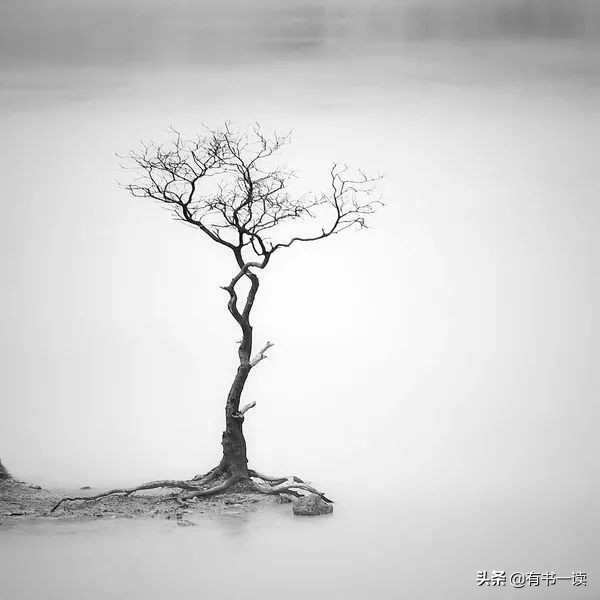 沧桑的句子说说（男人成熟沧桑语录）