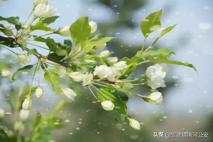 世界最美100首诗歌（最美古诗词100首分享）