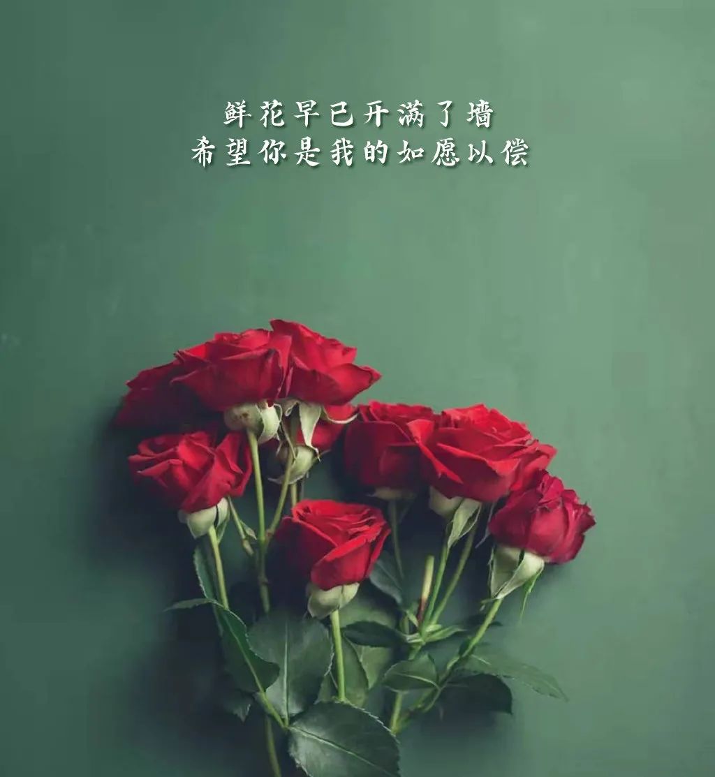 情人节祝福语最温馨的话简短（特别含蓄又有深意的情话）