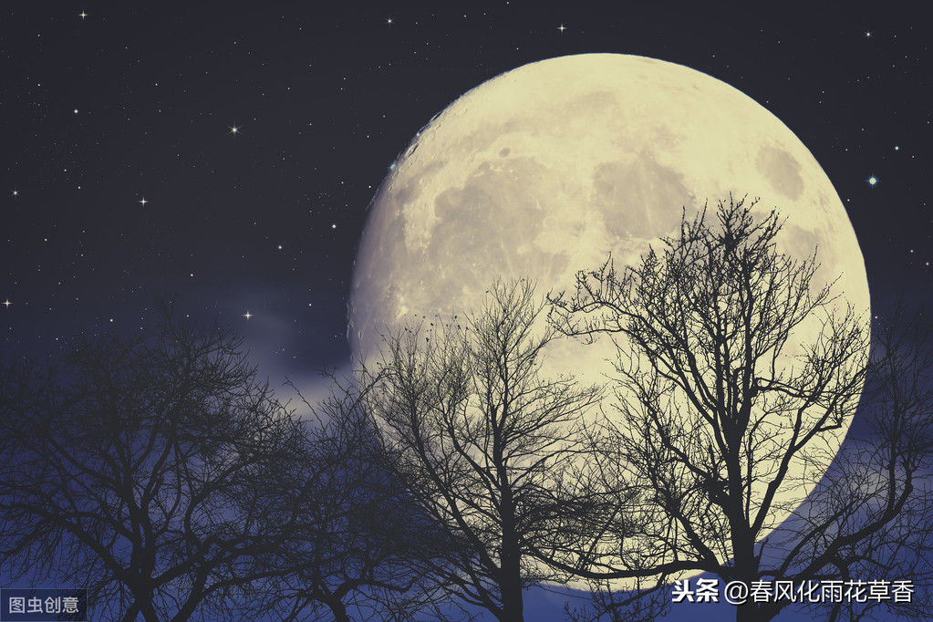 形容月色的优美句子（夜晚月色迷人的句子）
