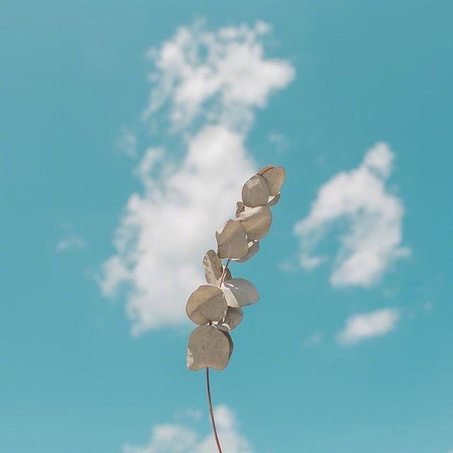 激励语录正能量的句子（经典励志语录正能量）