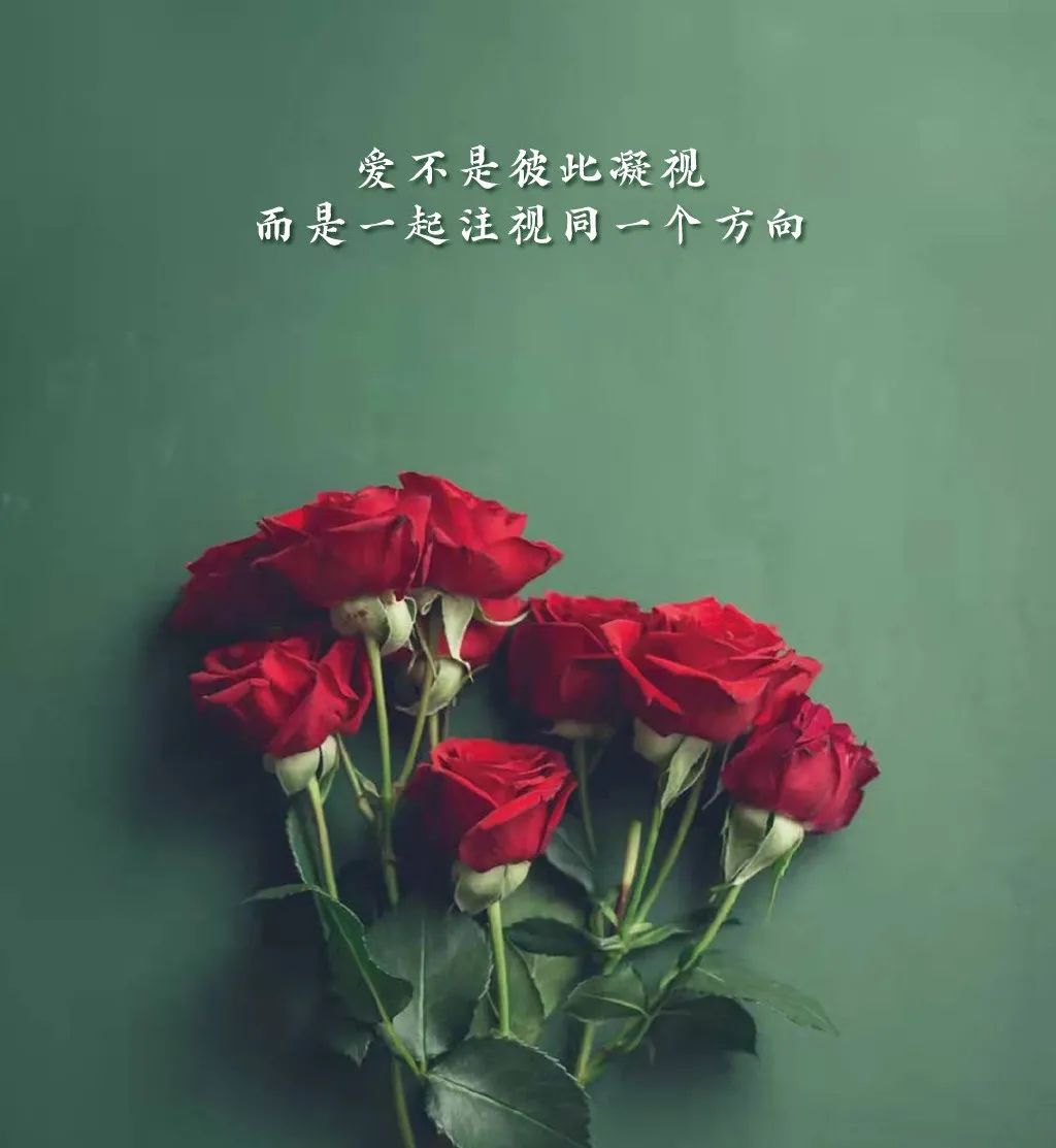 情人节祝福语最温馨的话简短（特别含蓄又有深意的情话）