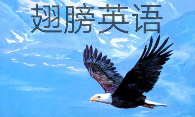 英文慰问信去世的人（英文安慰外国朋友节哀）
